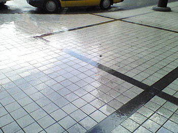 しかし鼻炎には優しい天気だったりする。 20080409-1.jpg