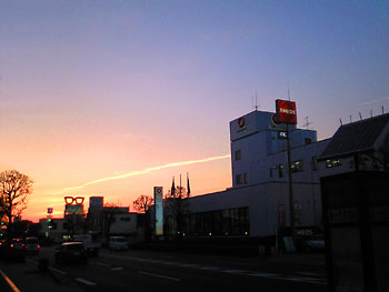 この時期、カゼひかないでね。 20080411-1.jpg