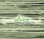 Ave 20080413.jpg