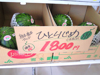 見るだけ、見るだけ。 20080430-1.jpg