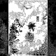 経る心 20080612.jpg
