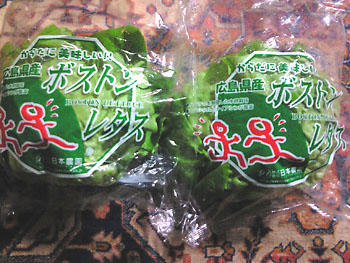 盛り付けに必要なのは皿だな。 20080617-1.jpg