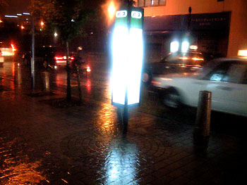 それでいいの、いいの。 20080620-1.jpg