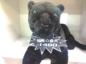 むしろ江戸の黒豹。 20080623-1.jpg