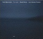 The Light 20080628.jpg
