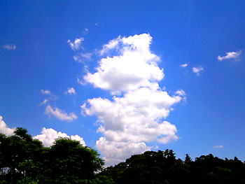 蝉時雨の中で。 20080801-1.jpg