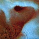 Meddle 20080918.jpg