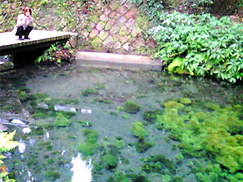 某水源。 20081001-1.jpg