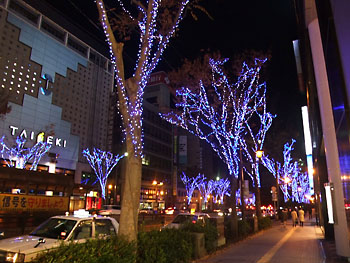 キラキラ。 20081208-1.jpg