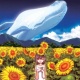 追悼盤 ひまわり 20081224.jpg