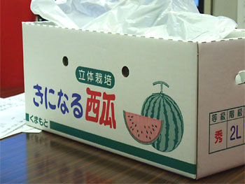 きになるわよ。 20090111-1.jpg