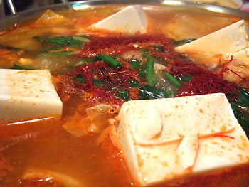 20090201-1.jpg
