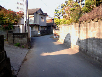 20090205-1.jpg