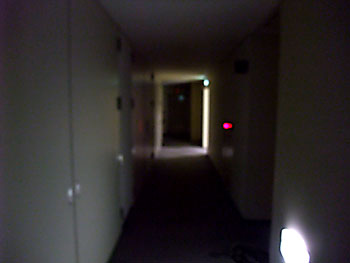 20090209-1.jpg