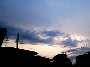 20090223-1.jpg