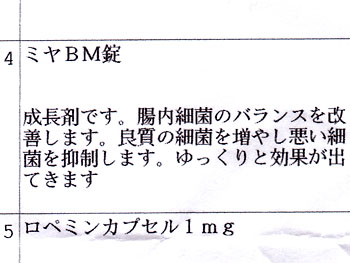 松本(略) 20090325-1.jpg