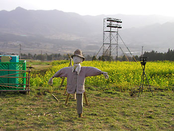 かかし立って涙が出そう。 20090330-1.jpg
