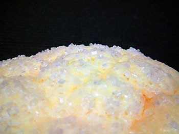 421kcal. 20090403-1.jpg