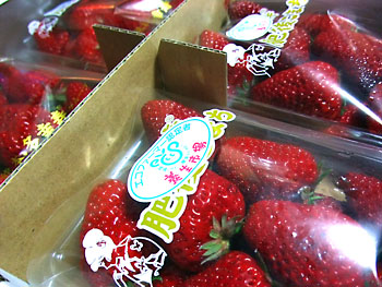 ワオ♪ 20090422-1.jpg