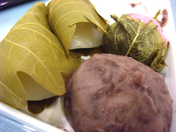 20090425-2.jpg