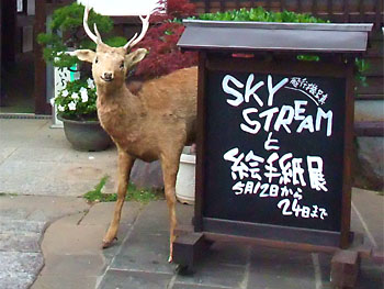 しかと見よ。 20090524-1.jpg