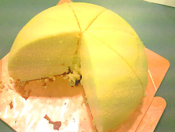 20090606-1.jpg