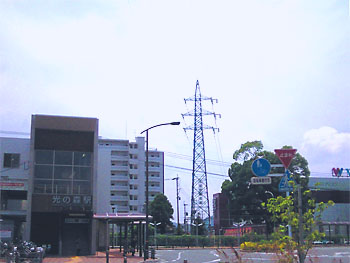 20090611-1.jpg