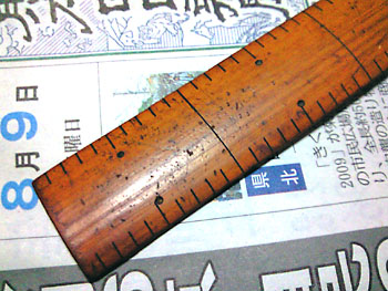 ものさし登場。 20090809-1.jpg