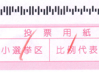 チェック。 20090819-1.jpg