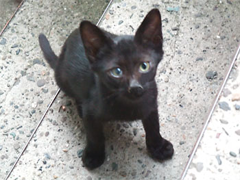 20090911-1.jpg
