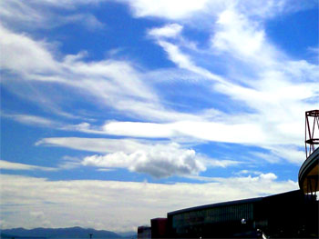 20090916-1.jpg