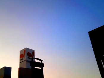 20090918-1.jpg
