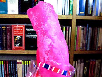 20090930-1.jpg
