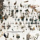 フーロ・コルッコ 消えた冒険家/アラマーイルマン・ヴァサラット 20091016.jpg