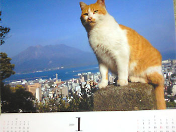 20100103-1.jpg