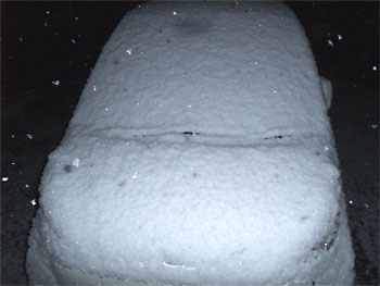 20100113-1.jpg