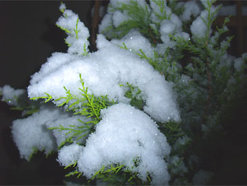 20100114-1.jpg