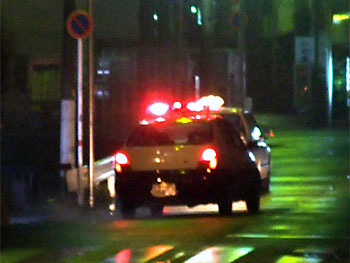 20100201-1.jpg