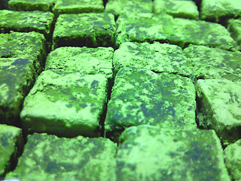 20100215-1.jpg