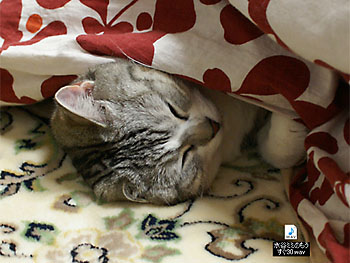 20100222-1.jpg