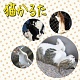 20100222.jpg