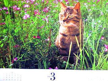 20100301-1.jpg