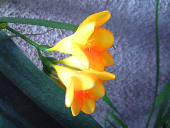 20100321-1.jpg