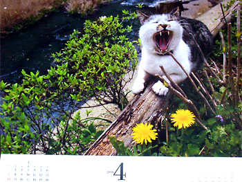 20100401-1.jpg
