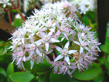 20100402-1.jpg