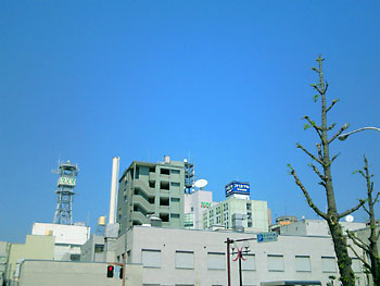 20100417-1.jpg
