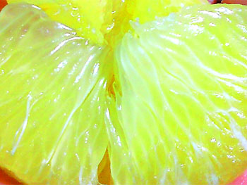 20100419-1.jpg