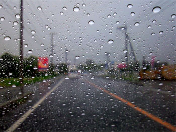20100422-1.jpg