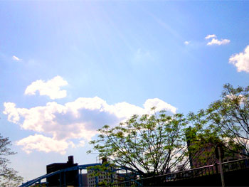 20100425-1.jpg