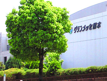 20100503-1.jpg